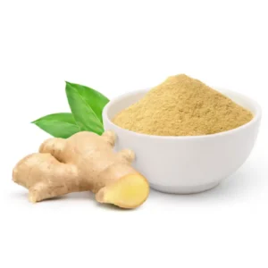 DRY GINGER POWDER